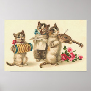 Impressão do coro do gatinho