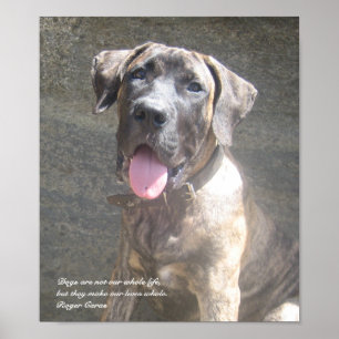 Impressão do filhote de cachorro de Presa Canario