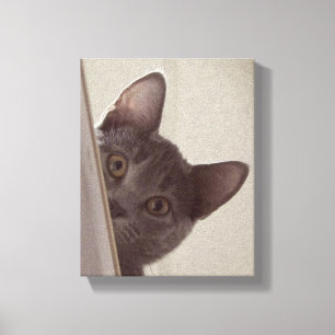 "Impressão do gato Sneaky" em canvas esticadas