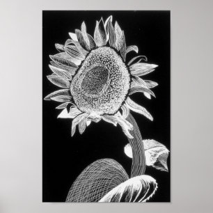 Impressão do girassol - arte para a caridade