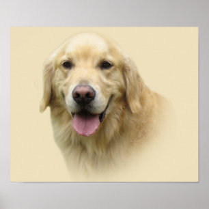 Impressão do golden retriever