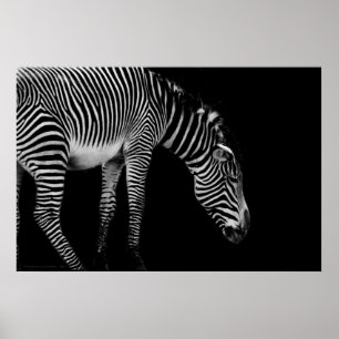 Impressão do linguagem corporal