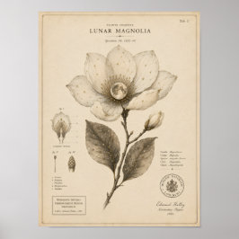 Impressão do Museu Botânico Vitoriano Magnólia Lun