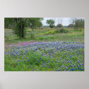 Impressão do país do monte de Texas