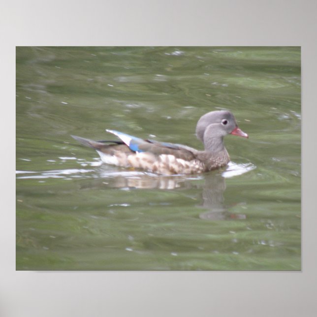 Impressão do Pato no Lago (Frente)