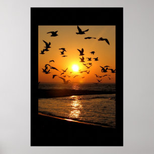 Impressão do por do sol da gaivota