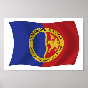 Impressão do poster da bandeira da nação do