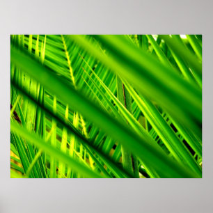 (Impressão do poster da chegada nova)