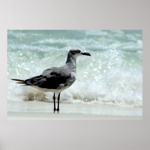 impressão do poster da gaivota de mar