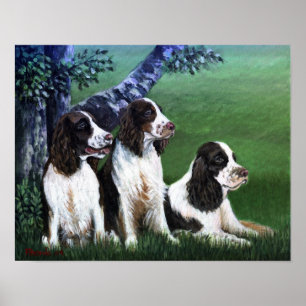 Impressão do poster do cão do Spaniel de Springe