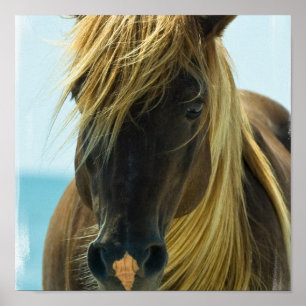 Impressão do poster do cavalo do mustang