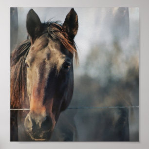 Impressão do poster do cavalo do mustang