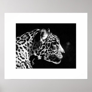 Impressão do poster do pop art de Jaguar - poster