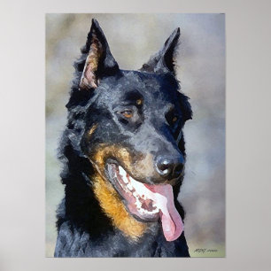 Impressão do poster do retrato do cão de Beaucer