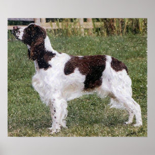 Impressão do poster do retrato do cão do Spaniel