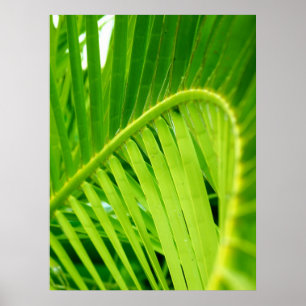 (Impressão do poster do Twirl tropical)