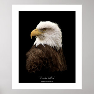 Impressão do poster dos animais selvagens da águ