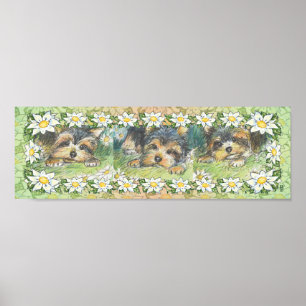 Impressão do poster dos filhotes de cachorro de