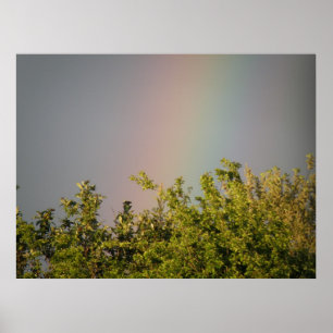 Impressão do Rainbow Sky