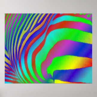 Impressão do Rainbow Zebra