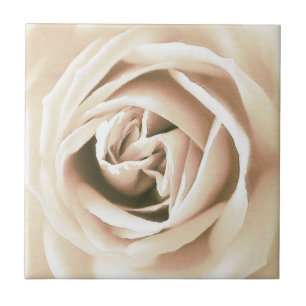 Impressão do rosa branco