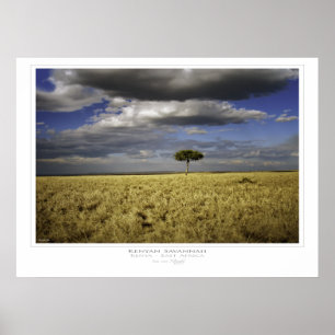 Impressão do savana do Kenyan