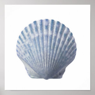 Impressão do Seashell