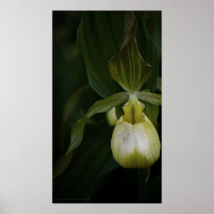 Impressão do Slipper 2 amarelo