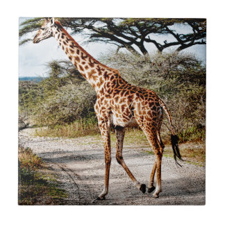 Impressão do teste padrão de África do animal