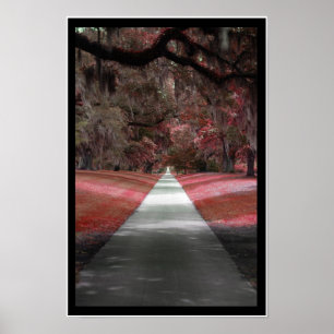 Impressão do trajeto