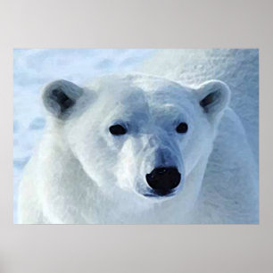 Impressão do urso polar