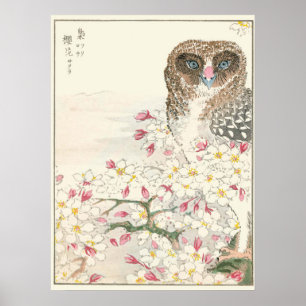 Impressão do vintage da coruja de Japão