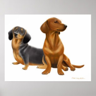 Impressão dos cães do Wiener do Dachshund