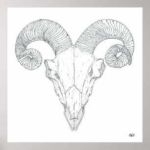 Impressão dos carneiros de Bighorn (grande)
