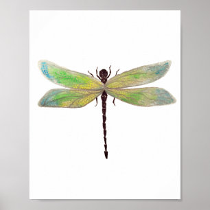 Impressão Dragonfly 8x10