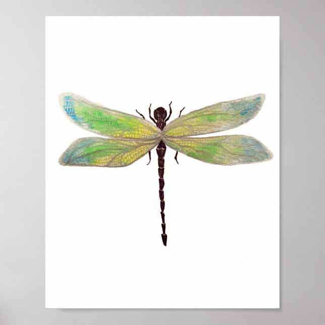 Impressão Dragonfly 8x10 (Frente)