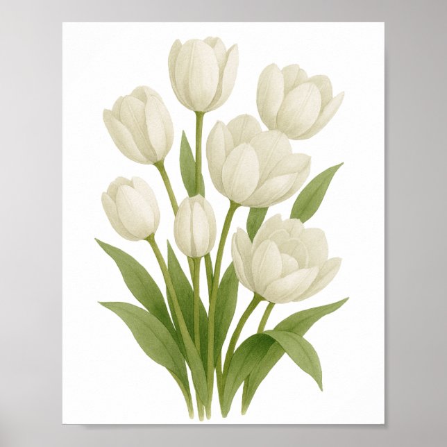 Impressão em Aquarela de Tulipas Brancas - Decoraç (Frente)
