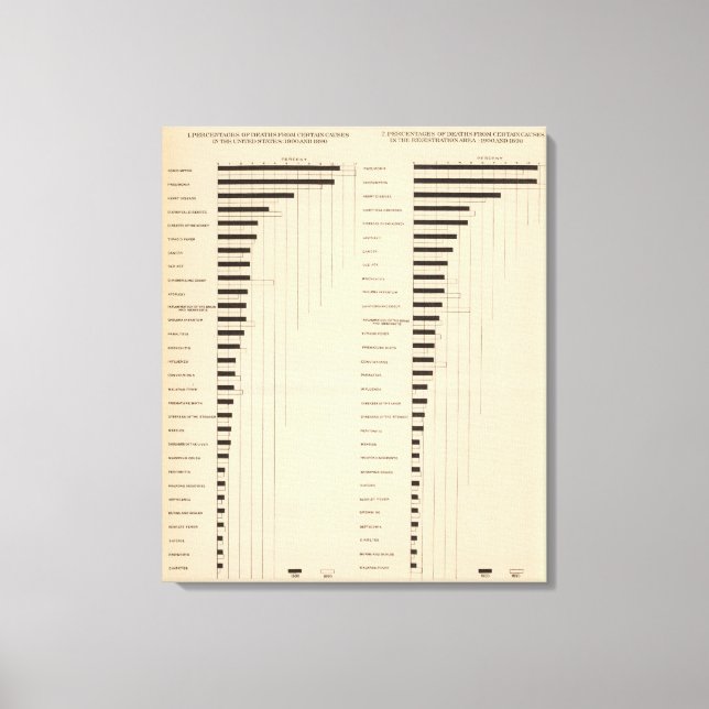 Impressão Em Tela 112 Taxa de mortalidade, causa 1900, 1890 (Frente)