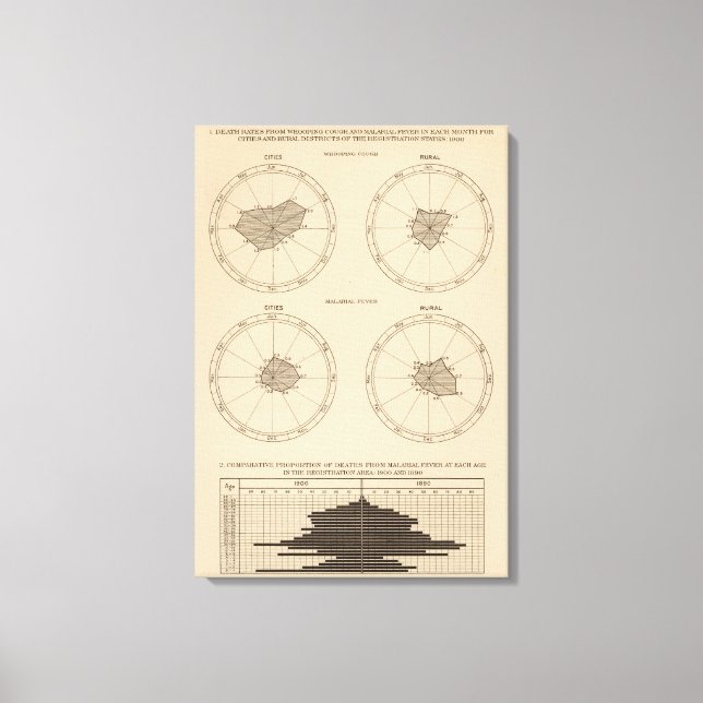 Impressão Em Tela 116 Mortes por tosse convulsa (Frente)