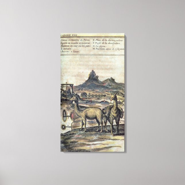 Impressão Em Tela 137-0627924 Ilustração de uma história do Peru (Frente)