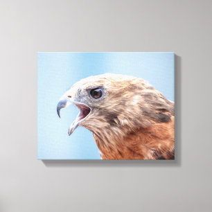 Impressão Em Tela 14x11 Red Shoulked Hawk