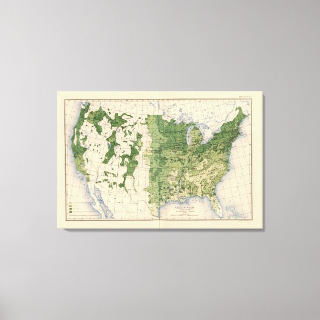 Impressão Em Tela 157 Trigo/acre (Frente)