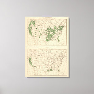 Impressão Em Tela 177 ameixas, ameixas secas, figos, regiões