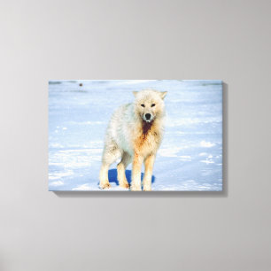 IMPRESSÃO EM TELA 23872553