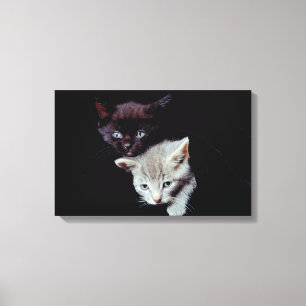 IMPRESSÃO EM TELA 23893007