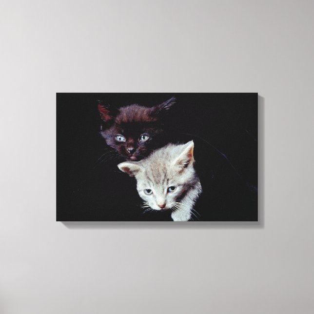 IMPRESSÃO EM TELA 23893007 (Frente)