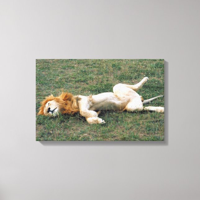 IMPRESSÃO EM TELA 23899172 (Frente)