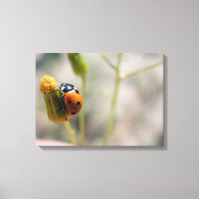 IMPRESSÃO EM TELA 24102385 (Frente)