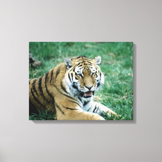 IMPRESSÃO EM TELA 24103189 (Frente)