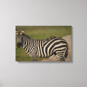 IMPRESSÃO EM TELA 24109277